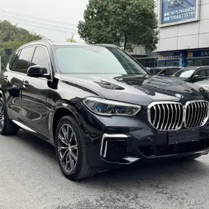 BMW X5 2022 245 л.с. — лот 57009184 из Китая