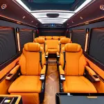 Hongqi 红旗金葵花国悦 из Китая