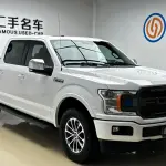 Ford F-150 Raptor 2019 лот 56778051 из Китая