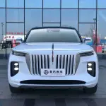 Hongqi Hongqi E-HS9 2023 из Китая