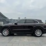Porsche Cayenne 2019 из Китая