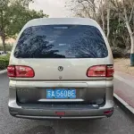 Fengxing Lingzhi 2019 из Китая