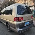Fengxing Lingzhi 2019 из Китая