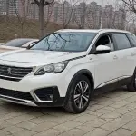 Peugeot 5008 2018 из Китая