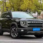 Haval Big Dog 2024 из Китая