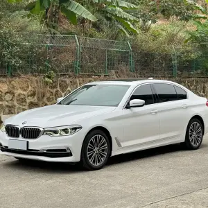 BMW 5 Series 2020 252 л.с. — лот 56801449 из Китая