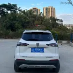 Baojun 510 2019 из Китая