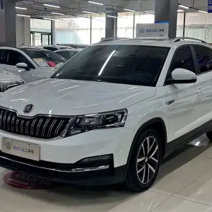 Skoda Kamiq 2023 из Китая