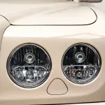 Bentley Elegance 2009 из Китая