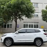 Chery Tiggo 8 2021 из Китая