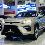 Toyota Wildlander 2021 из Китая