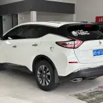 Nissan Murano 2020 из Китая