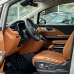 Hongqi Hongqi HQ9 2023 из Китая