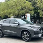 Oshan Oushang X5 2021 из Китая