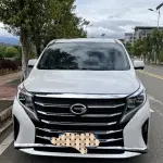 GAC Motor Trumpchi M8 2021 252 л.с. 252 л.с. из Китая