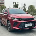 SWM SWM G01 2020 из Китая