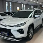 Toyota Wildlander 2021 из Китая
