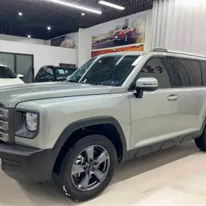 Haval Menglong New Energy 2024 из Китая
