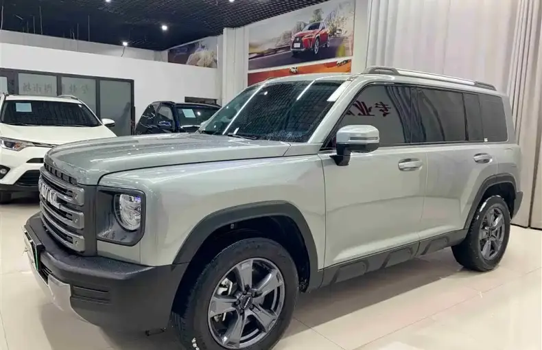 Haval Menglong New Energy 2024 из Китая
