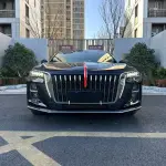 Hongqi Hongqi H5 2023 из Китая