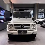 Mercedes-Benz G-Class 2013 из Китая