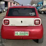 Ora Ora Black Cat 2020 из Китая