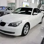 BMW 5 Series 2010 из Китая