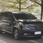 GAC Motor Trumpchi M8 2019 из Китая