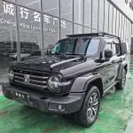 Tank Tank 300 2023 из Китая