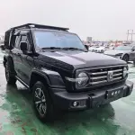 Tank Tank 300 2023 из Китая