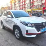 Fengguang Fengguang 500 2021 из Китая