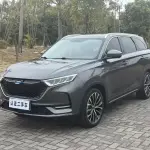 Oshan Oushang X7 2019 из Китая