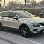 Volkswagen Tiguan L 2017 из Китая