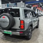 Haval Menglong New Energy 2024 из Китая