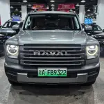 Haval Menglong New Energy 2024 из Китая