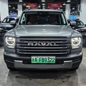 Haval Menglong New Energy 2024 из Китая