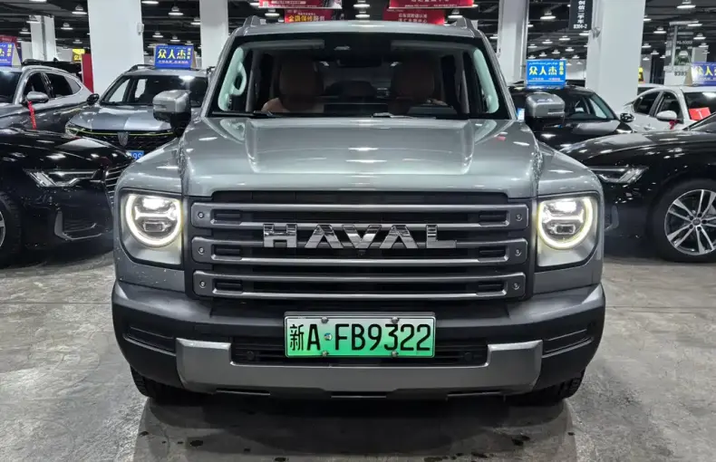 Haval Menglong New Energy 2024 из Китая