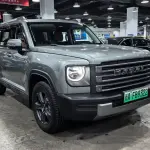 Haval Menglong New Energy 2024 из Китая