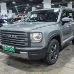 Haval Menglong New Energy 2024 из Китая
