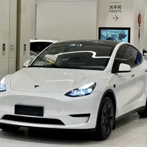 Tesla Model Y 2024 лот 57545899 из Китая