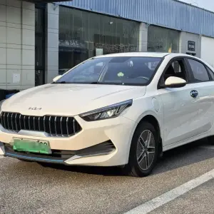Kia 起亚K3新能源 2021 из Китая