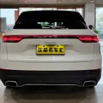 Porsche Cayenne 2019 из Китая