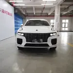Lynk & Co 09 EM-P 2022 из Китая