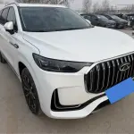 Chery Tiggo 9 2023 из Китая