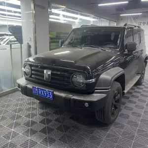 Tank Tank 300 2025 из Китая