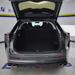 Oshan Oushang Z6 2023 из Китая