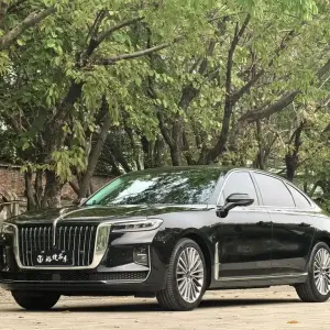 Hongqi Hongqi H9 2021 из Китая
