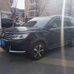 Fengxing X6 2018 из Китая