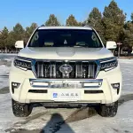 Toyota Prado (Import) 2019 из Китая
