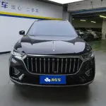 Hongqi Hongqi HS5 2023 из Китая
